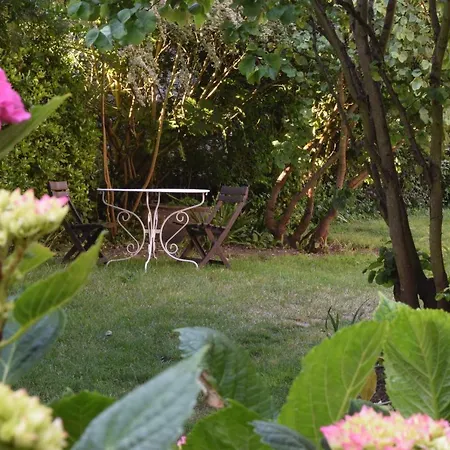 D'hotes Cote Halles Bed & Breakfast