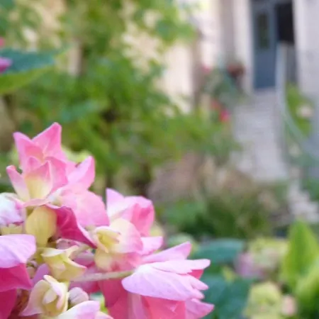 D'hotes Cote Halles Bed & Breakfast 3*