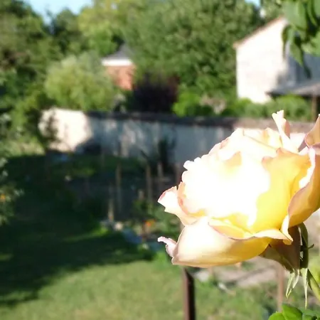 Frühstückspension D'hotes Cote Halles Pamproux