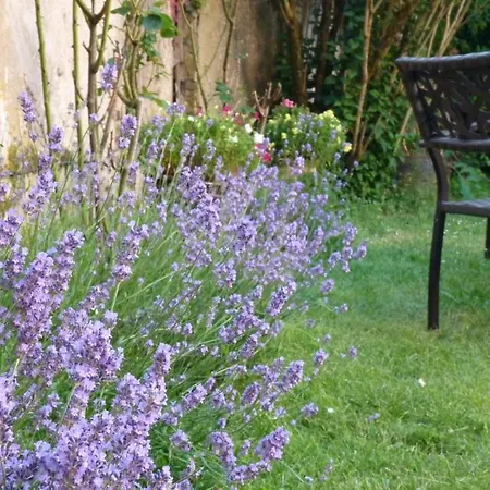 D'hotes Cote Halles Frühstückspension Pamproux