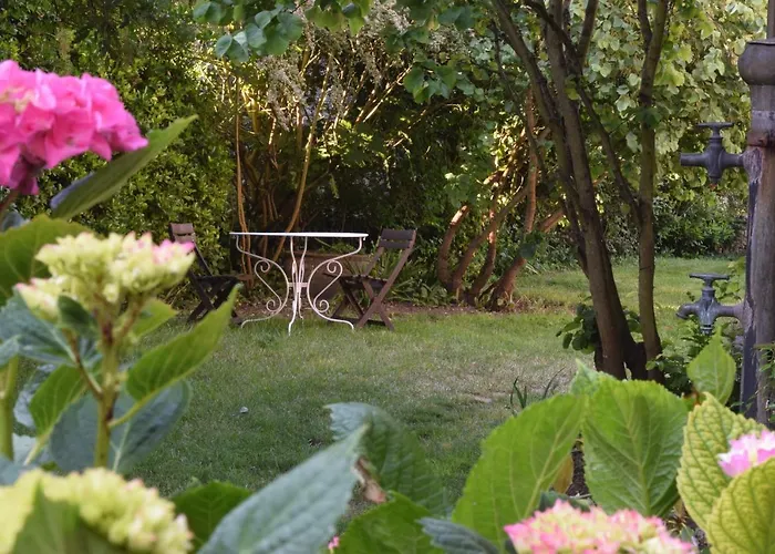 D'hotes Cote Halles Couette-café