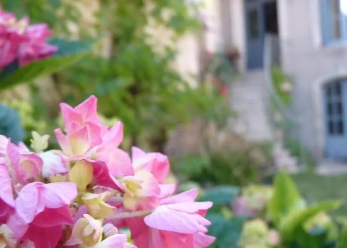 D'hotes Cote Halles Couette-café 3*