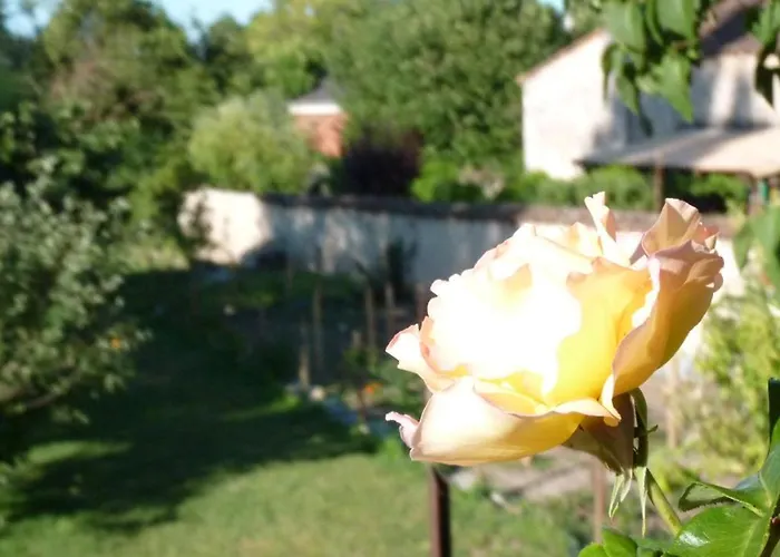 Couette-café D'hotes Cote Halles Pamproux