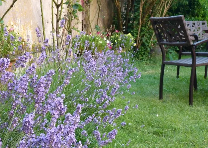 D'hotes Cote Halles Bed & Breakfast Pamproux